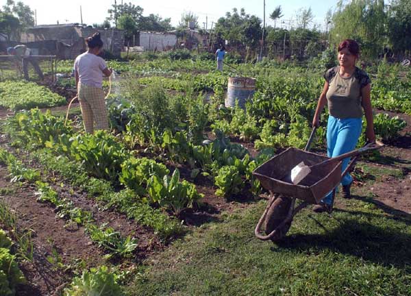 Nación presentó un plan de inversiones para la agricultura familiar