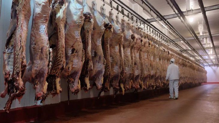 Se oficializó la reapertura parcial de exportación de carne: los detalles del DNU