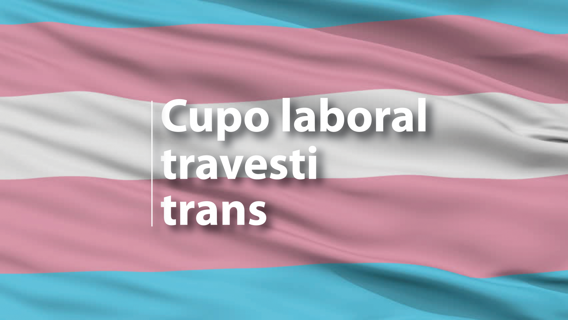 El Senado convirtió en ley el cupo laboral travesti trans
