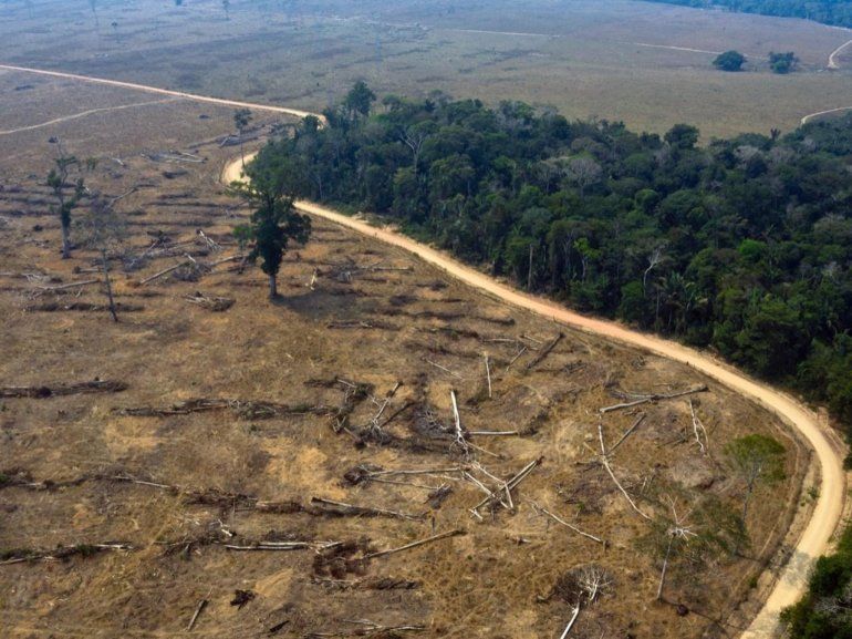 Argentina adhirió a un acuerdo para frenar la deforestación