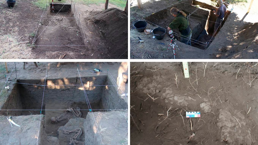 Hallaron restos de una mujer mapuche con 900 años de antigüedad