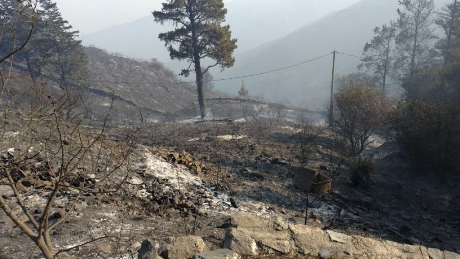 Cinco provincias continúan con focos activos de incendios forestales
