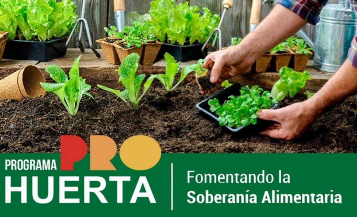 Programa ProHuerta: ya hay más de 10.000 beneficiarios en Paraná