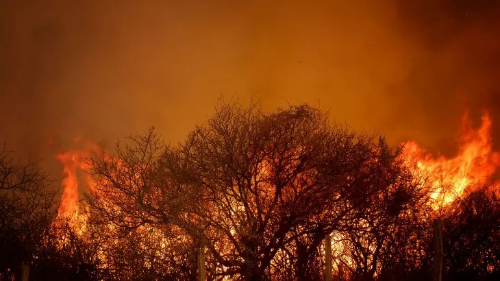 Incendio forestales: Jujuy y San Luis registran focos activos