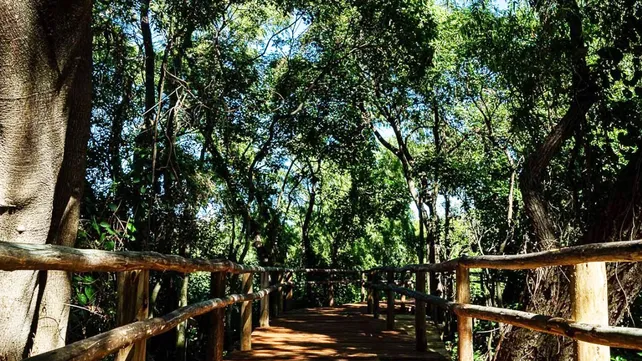 El Islote Curupí de Paraná fue incorporado al sistema de Áreas Naturales Protegidas
