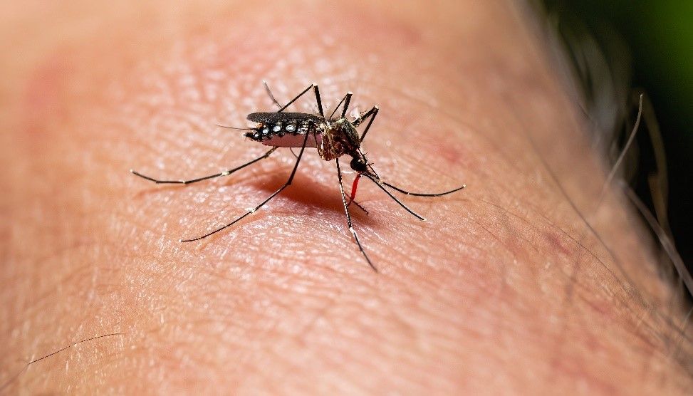 Gualeguaychú: habilitan consultorios para personas con síntomas de dengue