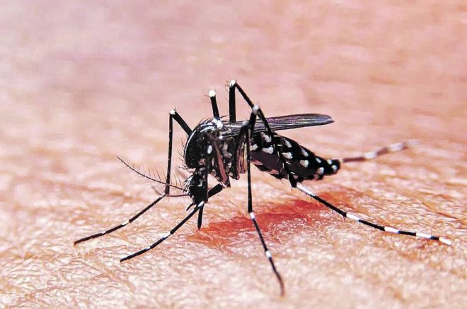Tercera muerte por dengue en Entre Ríos