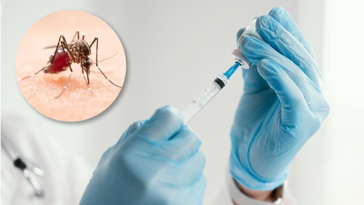 El segundo cuadro de Dengue es más grave: ¿Quiénes son más propensos a contagiarse?