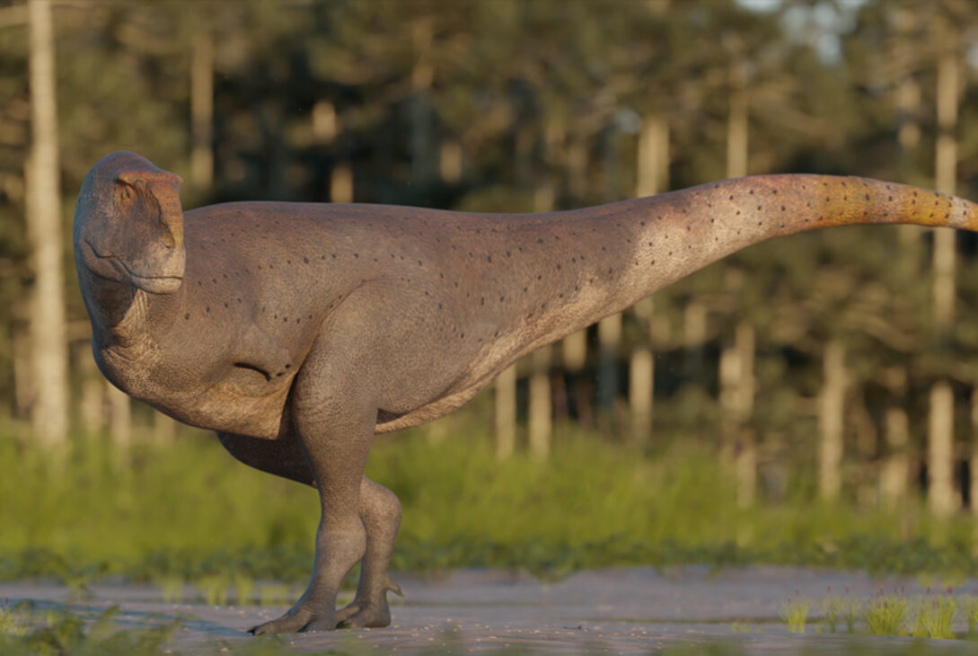 Koleken inakayali: Nuevo dinosaurio carnívoro argentino